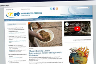 Publish Guest Post on ipsnews.net