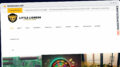 Publish Guest Post on littlelioness.net