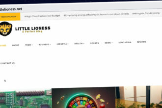 Publish Guest Post on littlelioness.net