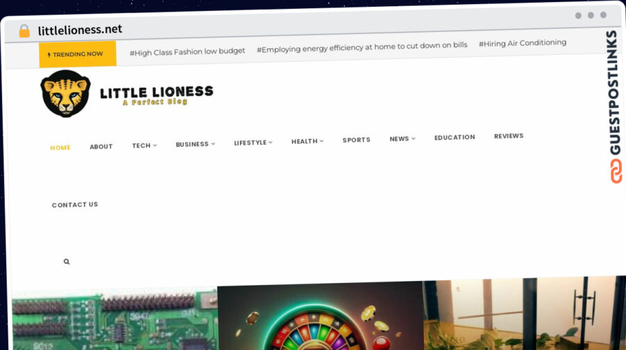 Publish Guest Post on littlelioness.net