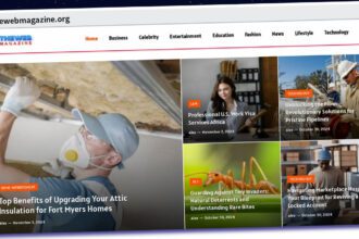 Publish Guest Post on thewebmagazine.org
