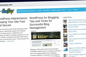 Publish Guest Post on themesnap.com