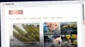 Publish Guest Post on diagolo.com