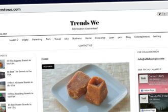 Publish Guest Post on trendswe.com