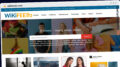 Publish Guest Post on wikifeedz.com