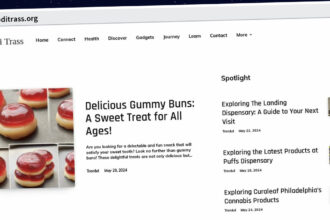 Publish Guest Post on abditrass.org