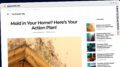 Publish Guest Post on gopunch.me