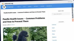 Publish Guest Post on richannel.org