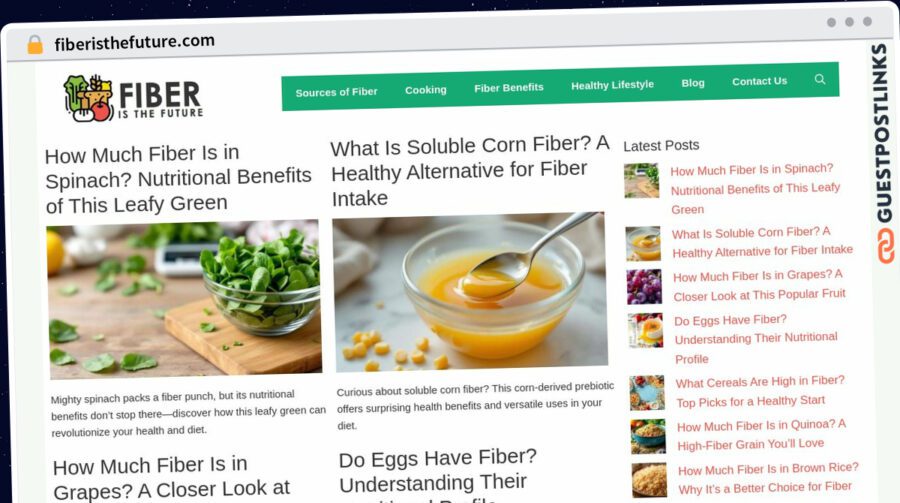 Publish Guest Post on fiberisthefuture.com