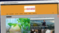 Publish Guest Post on michaelkorssitesaleonline.in