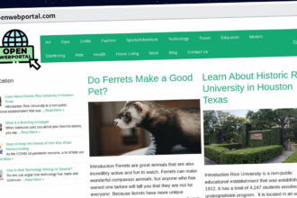 Publish Guest Post on openwebportal.com