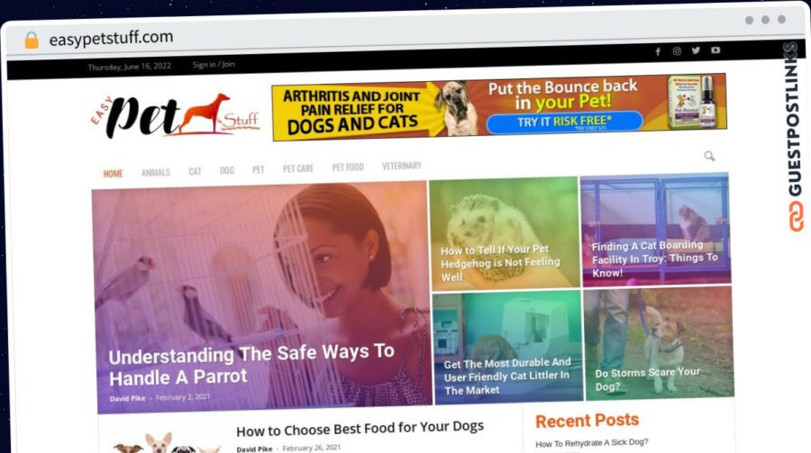 Publish Guest Post on easypetstuff.com