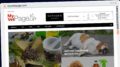 Publish Guest Post on myvettepage.com