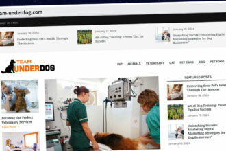Publish Guest Post on team-underdog.com