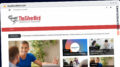 Publish Guest Post on thesilverbird.com