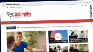 Publish Guest Post on thesilverbird.com
