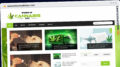 Publish Guest Post on womenincannabisnyc.com
