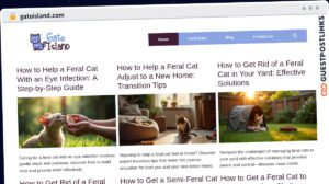 Publish Guest Post on gatoisland.com
