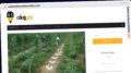 Publish Guest Post on taelimalhurufalearabia.com