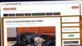 Publish Guest Post on rowanhouseonline.org