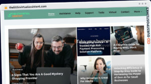 Publish Guest Post on thelittlevirtualassistant.com