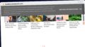 Publish Guest Post on healthreviewboard.com