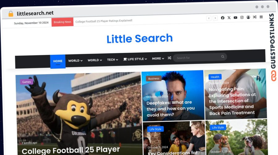 Publish Guest Post on littlesearch.net