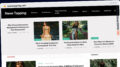 Publish Guest Post on newstapping.com