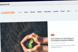 Publish Guest Post on tubepxinh.net