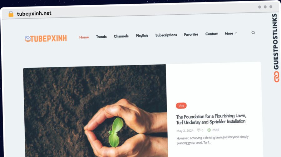 Publish Guest Post on tubepxinh.net
