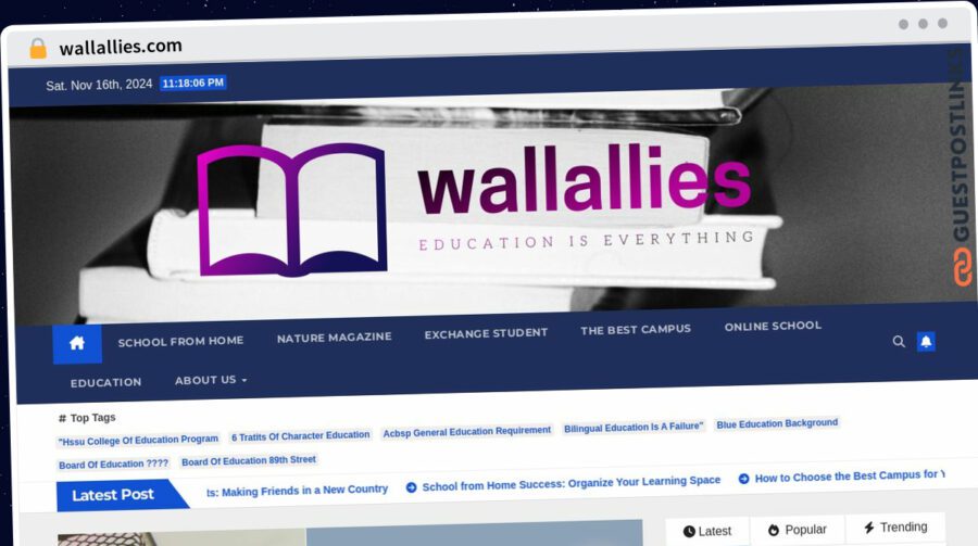 Publish Guest Post on wallallies.com