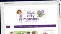 Publish Guest Post on lilaccitymomma.com