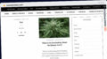 Publish Guest Post on samosirnews.com