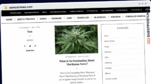 Publish Guest Post on samosirnews.com