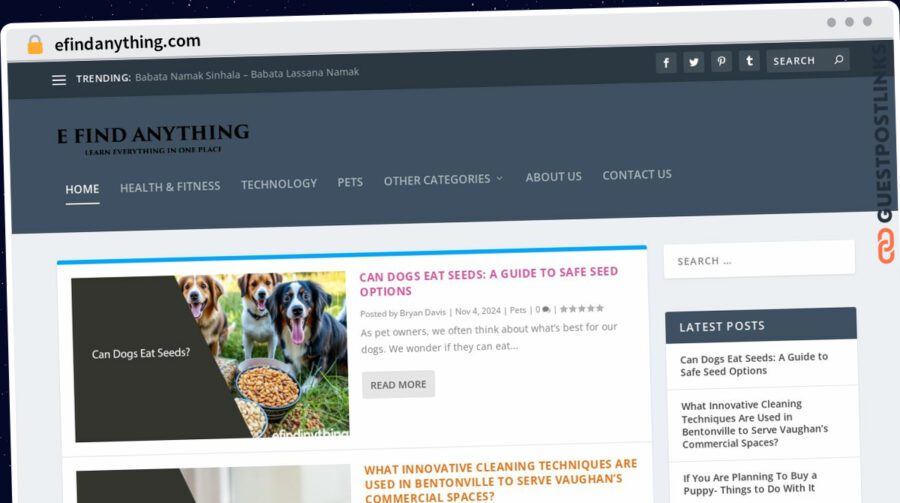 Publish Guest Post on efindanything.com