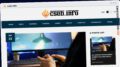 Publish Guest Post on cseb.info