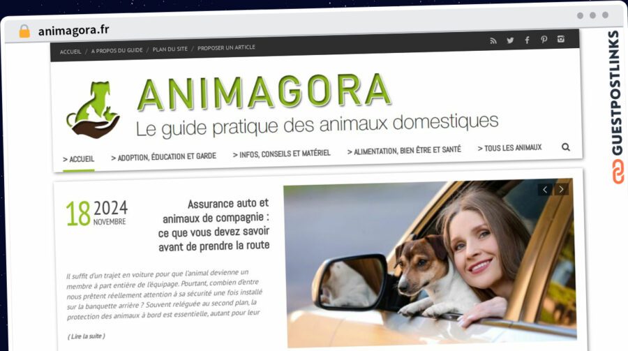 Publish Guest Post on animagora.fr