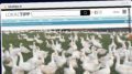 Publish Guest Post on lokaltipp.at