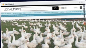 Publish Guest Post on lokaltipp.at