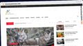 Publish Guest Post on theconsumerism.com