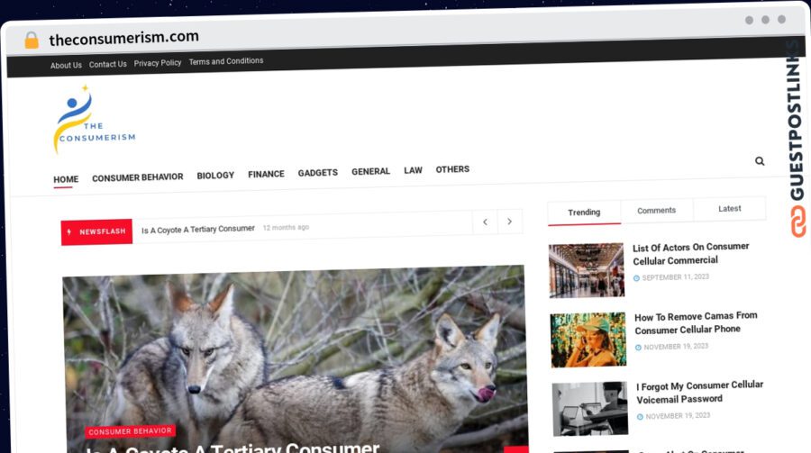Publish Guest Post on theconsumerism.com