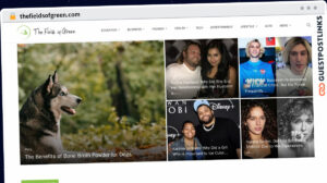 Publish Guest Post on thefieldsofgreen.com