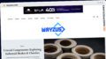 Publish Guest Post on wayzus.com