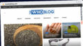 Publish Guest Post on thewhoblog.com