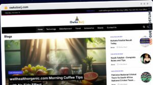 Publish Guest Post on owkeburj.com