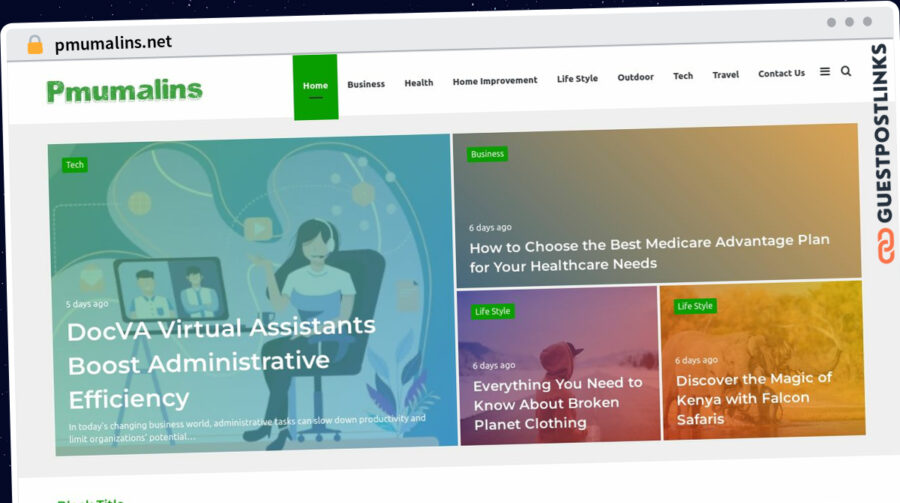 Publish Guest Post on pmumalins.net