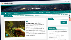 Publish Guest Post on celebviki.com
