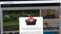 Publish Guest Post on karneval-berlin.de