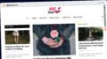 Publish Guest Post on ghostbuz.us